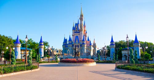 imgDesk-Walt Disney World